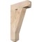 Ekena Millwork Traditional Craftsman Smooth Bracket, Douglas Fir, 3 1/2"W x 14"D x 22"H BKT04X14X22TRA04SDF - alternate 1